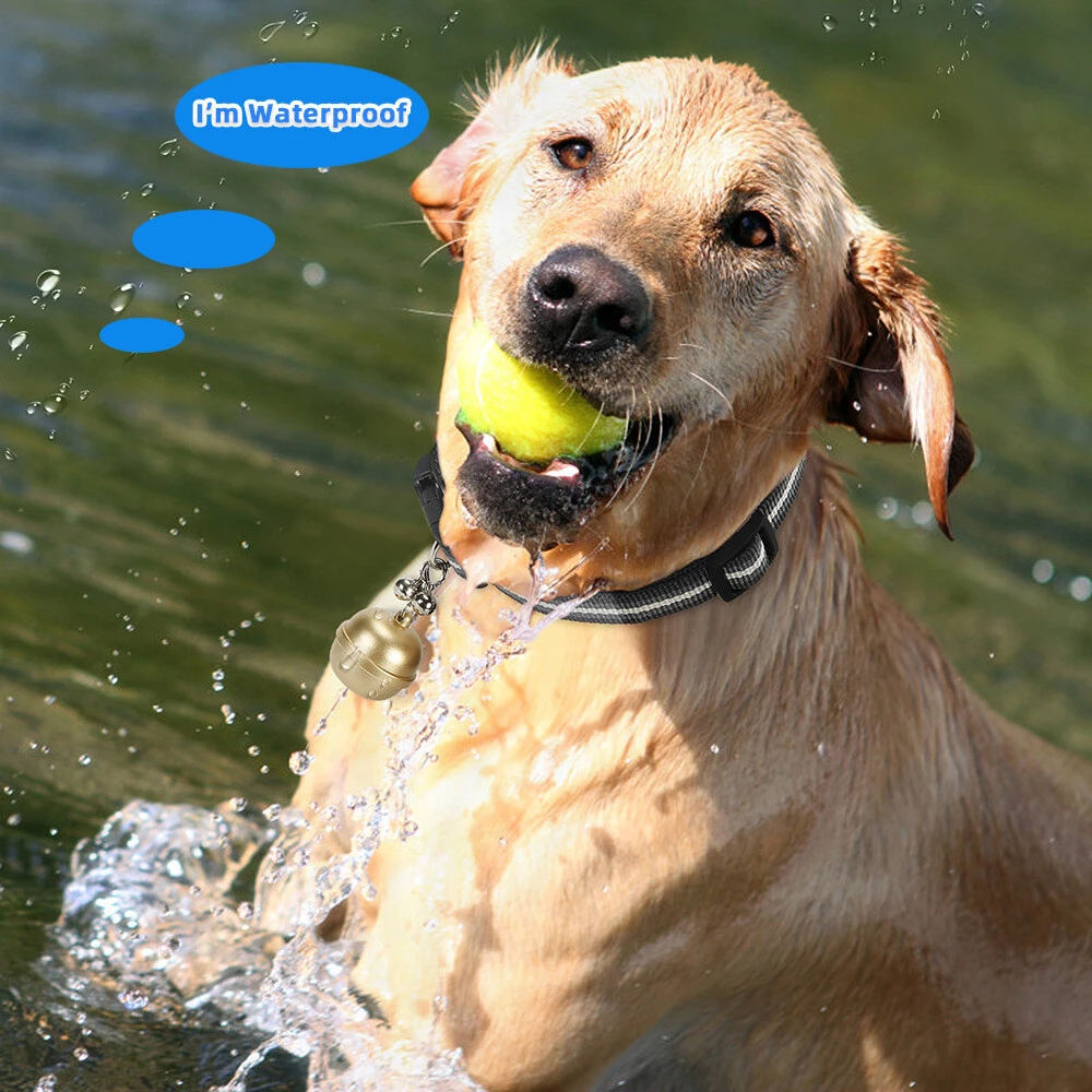 Bell GPS Tracker for Pets - 5-System Real Time Tracking 4-Day Battery IP67 Waterproof