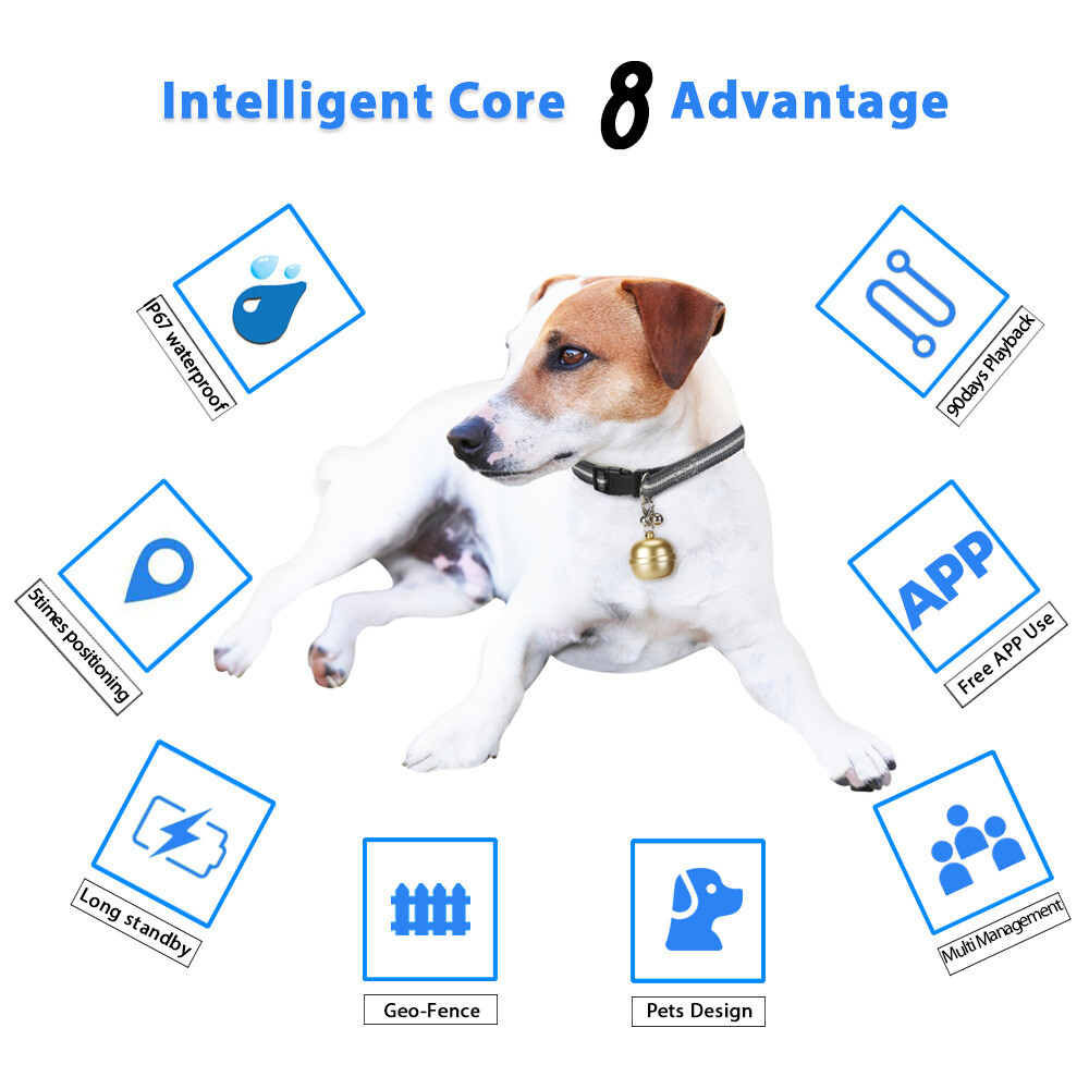 Bell GPS Tracker for Pets - 5-System Real Time Tracking 4-Day Battery IP67 Waterproof