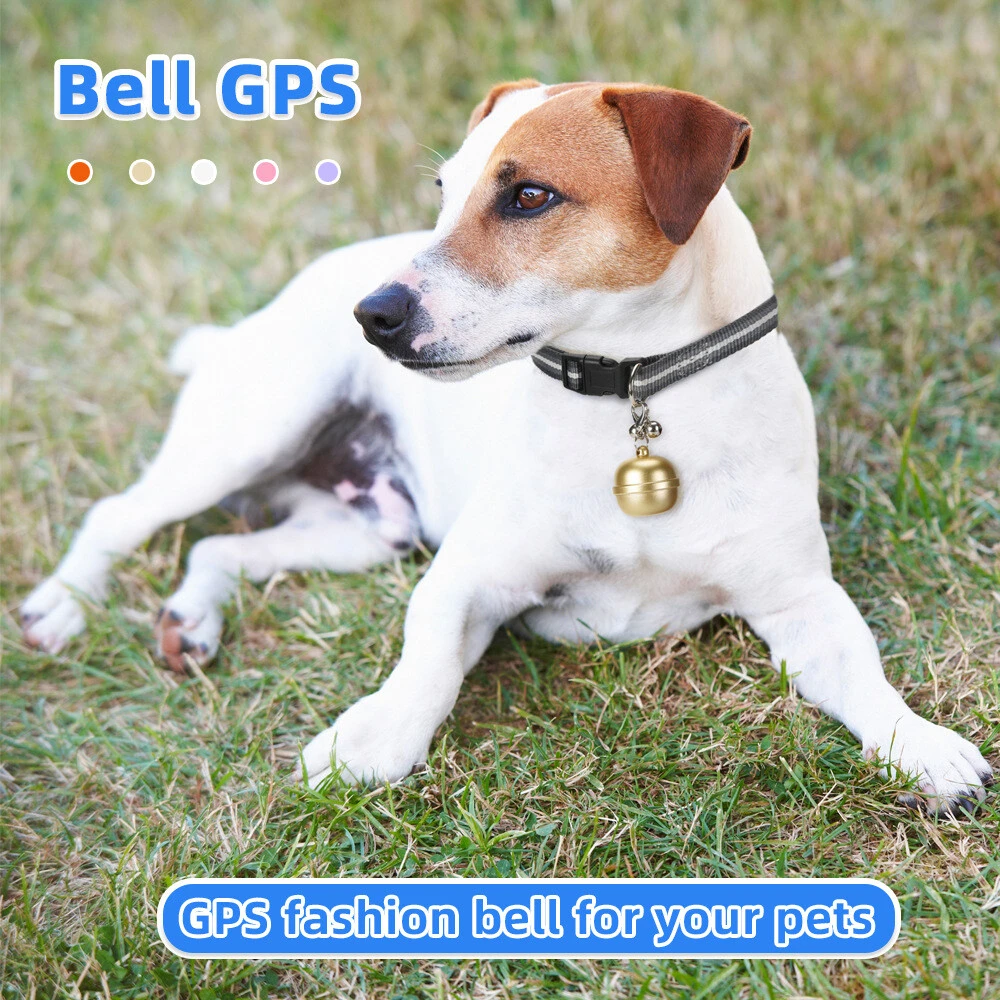 Bell GPS Tracker for Pets - 5-System Real Time Tracking 4-Day Battery IP67 Waterproof