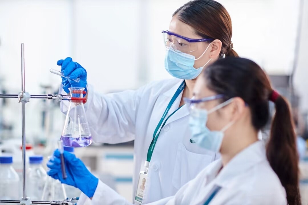 High-Performance Rubber Products Optimizes vulcanization efficiency and anti-aging performance, boosting processing speed and longevity in tires, seals, and hoses.