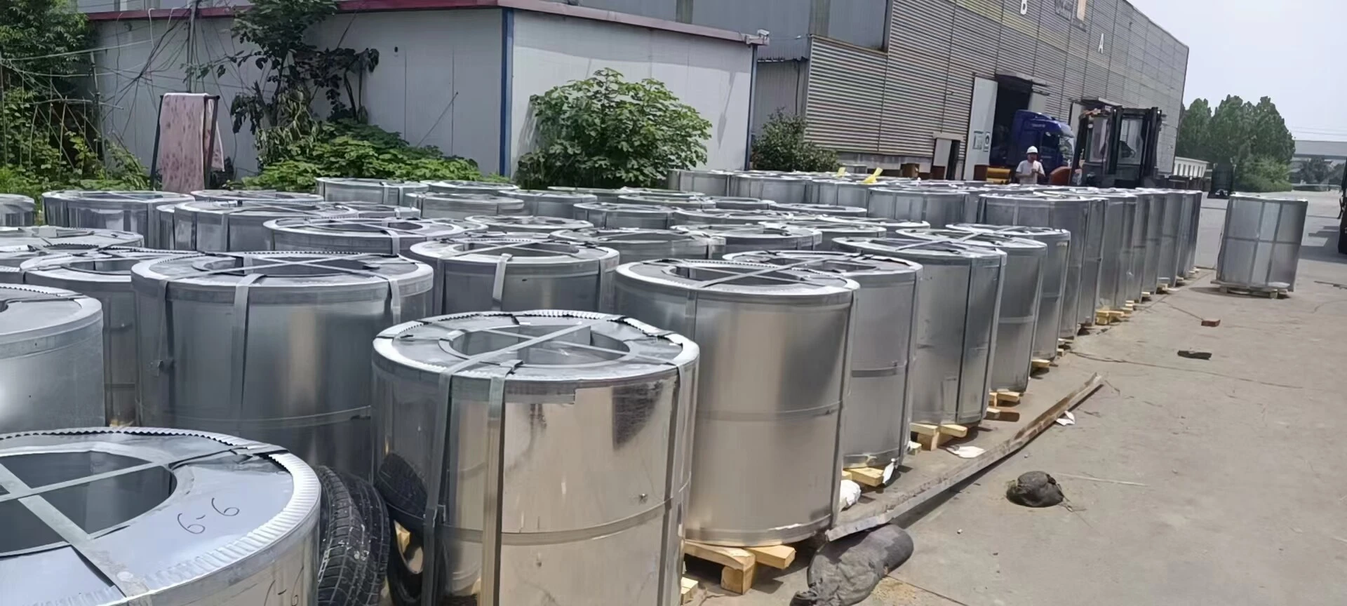 G90 Galvanized Coil