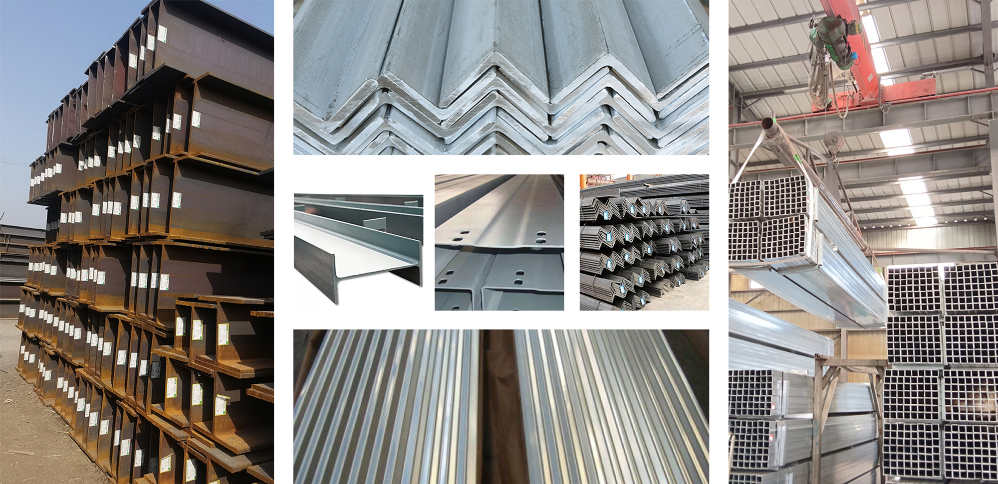 Profile.jpg Profile.jpg