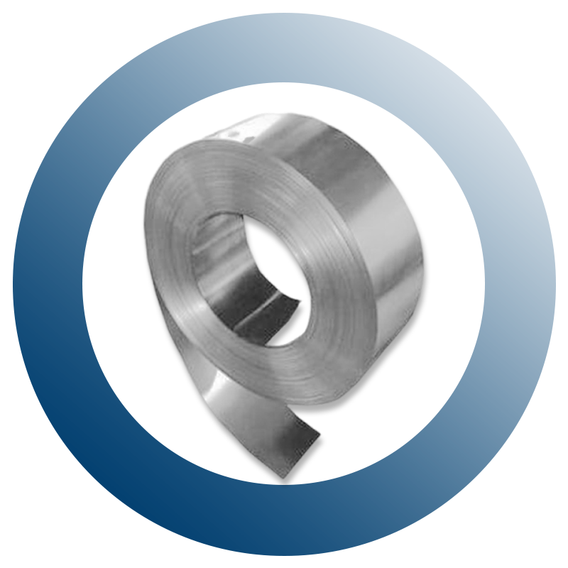 Stainless Steel Strip