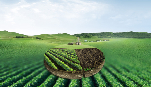 Situação das importações e exportações de fertilizantes da China em 2024