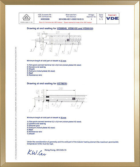 VDE-1.jpg