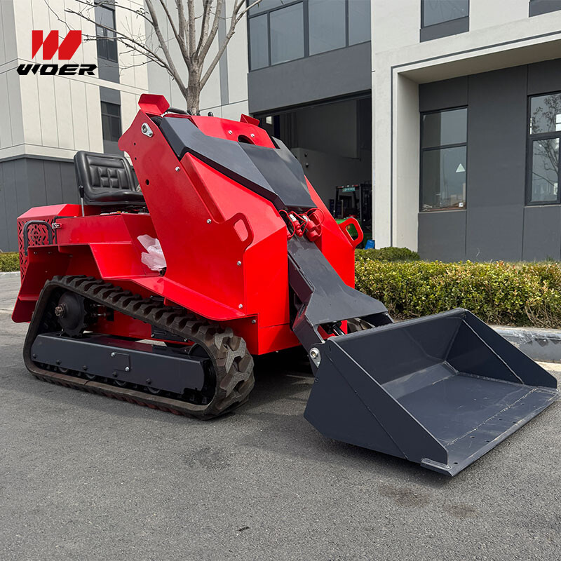 Diesel Gasoline Small Earth-Moving Machinery Mini Skid Steer Loader