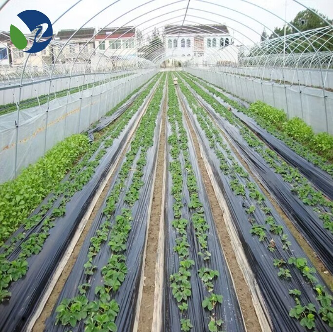 Agricultural Silver Black Weed Control Film Is Degradable