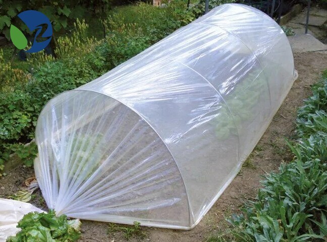 Greenhouse Plastic Film