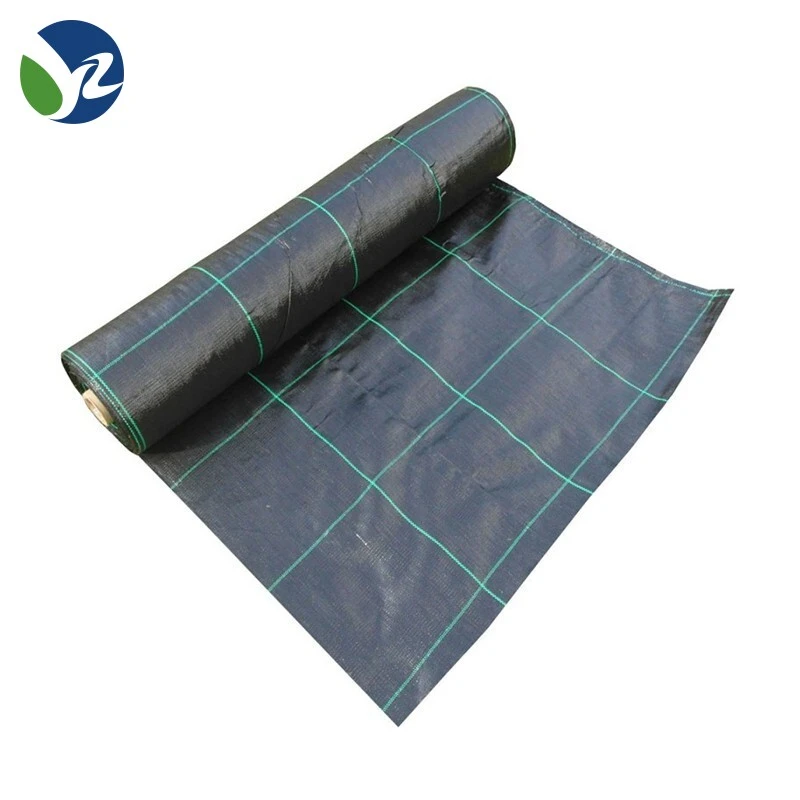 Anti Grass Mesh