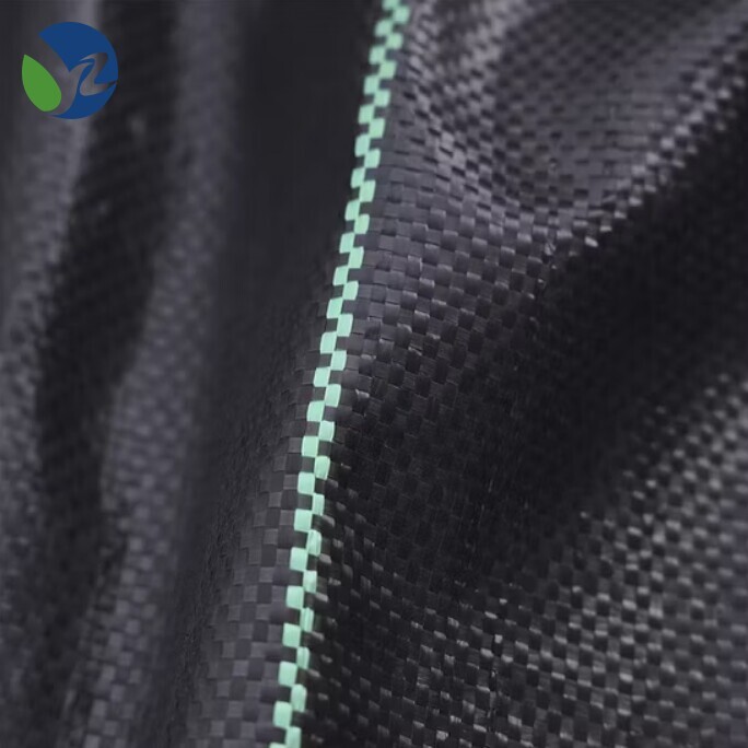 Anti Grass Mesh