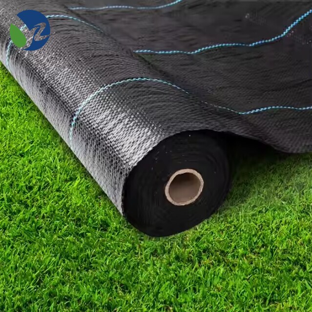 Anti Grass Mesh