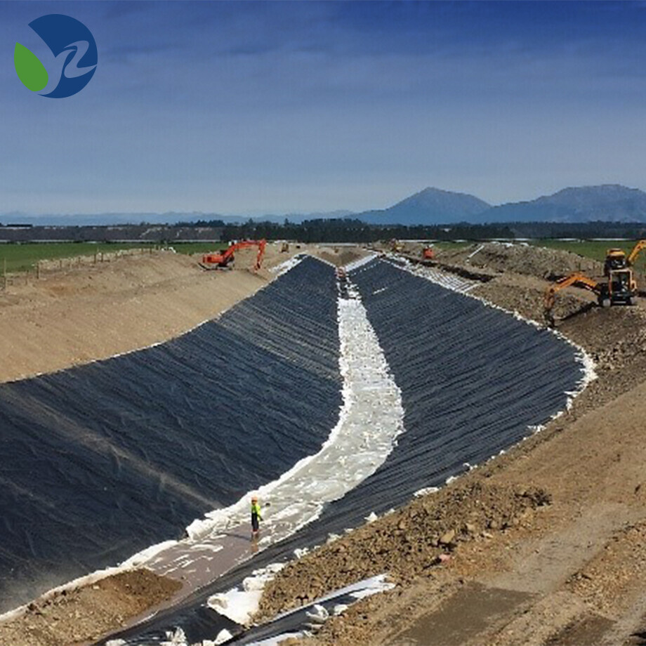 HDPE Geomembrane