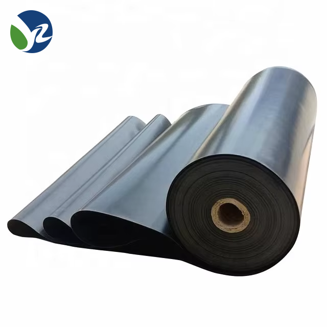 HDPE Geomembrane