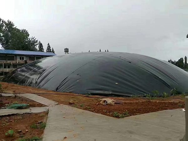 digester沼气池.jpg