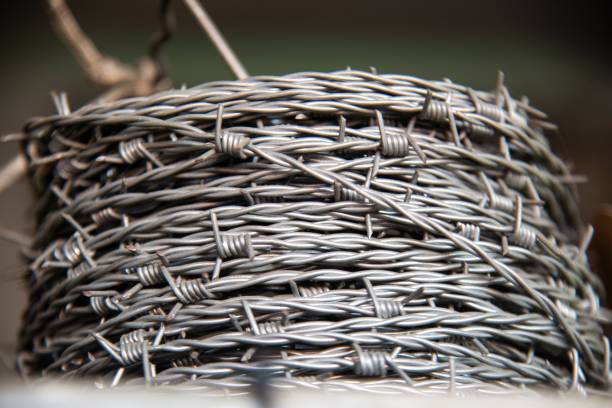 Barbed Wire