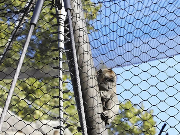 Security and Protection (3)