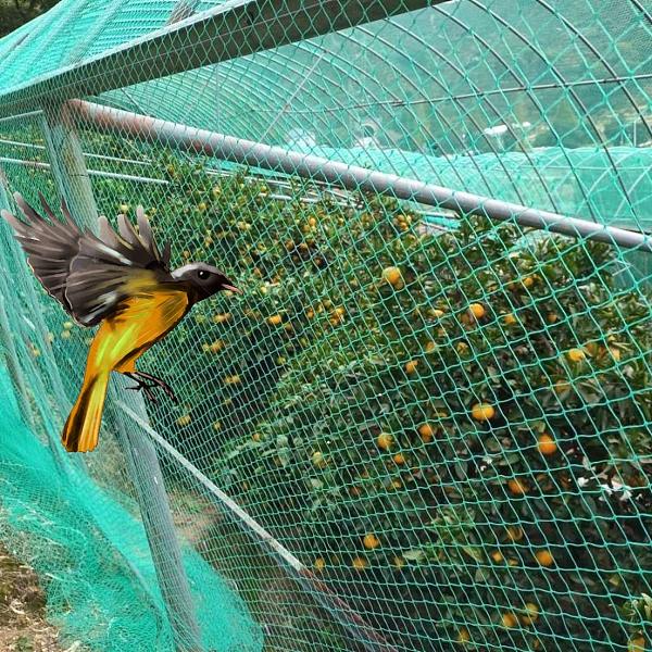 Bird netting