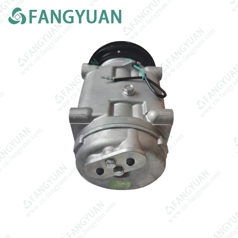 Valeo  TM31(DKS-32.1070)    Post output interface .Single B belt pulley  Compressor