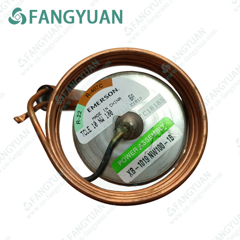 EMERSON   TCLE 10 MW100  Expansion Valve