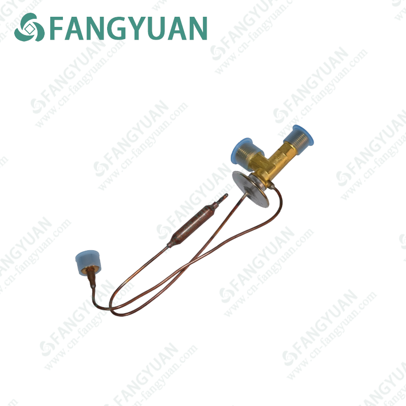 FUJIKOKI   E3034FEXXGn  Expansion Valve