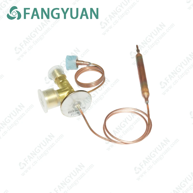  441510-1020    Expansion Valve