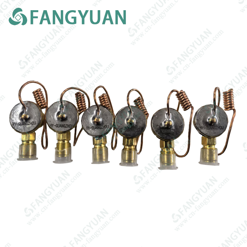 HY-GUANGXHOU  Expansion Valve