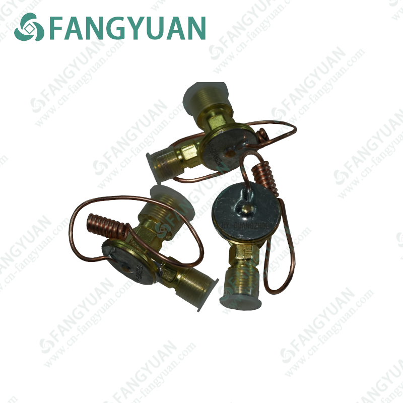 HY-GUANGXHOU  Expansion Valve