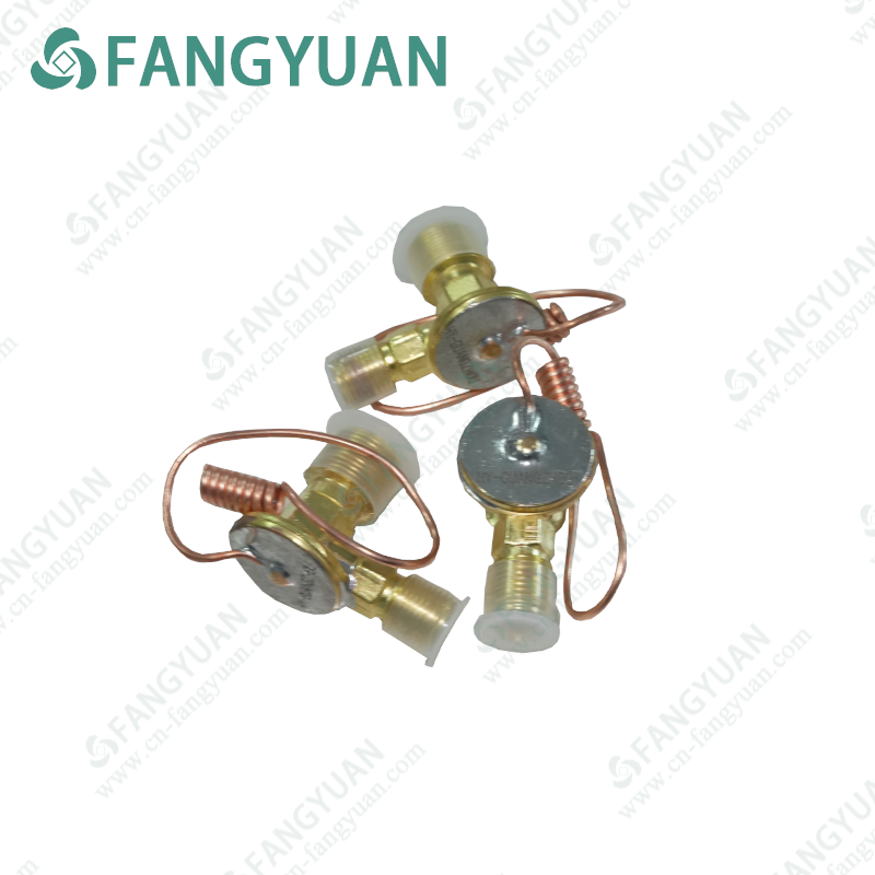 HY-GUANGXHOU  Expansion Valve