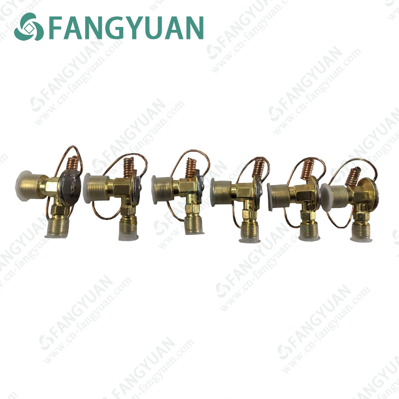HY-GUANGXHOU  Expansion Valve