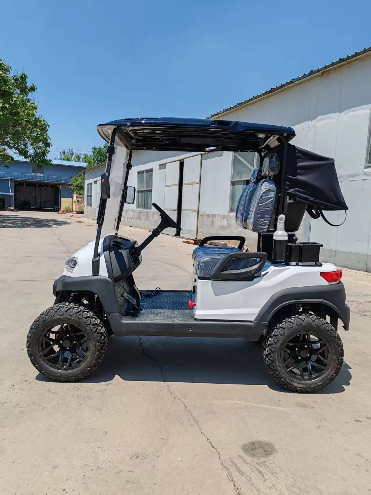 MD6-L2A High-Top Electric Golf Cart