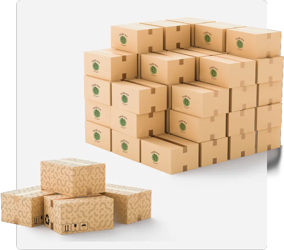 企业微信截图_17524867178830