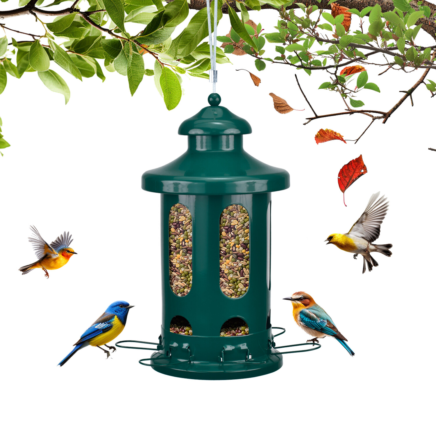 b Mangeoire pour oiseaux Lantern - vert foncé