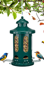 b Mangeoire pour oiseaux Lantern - vert foncé