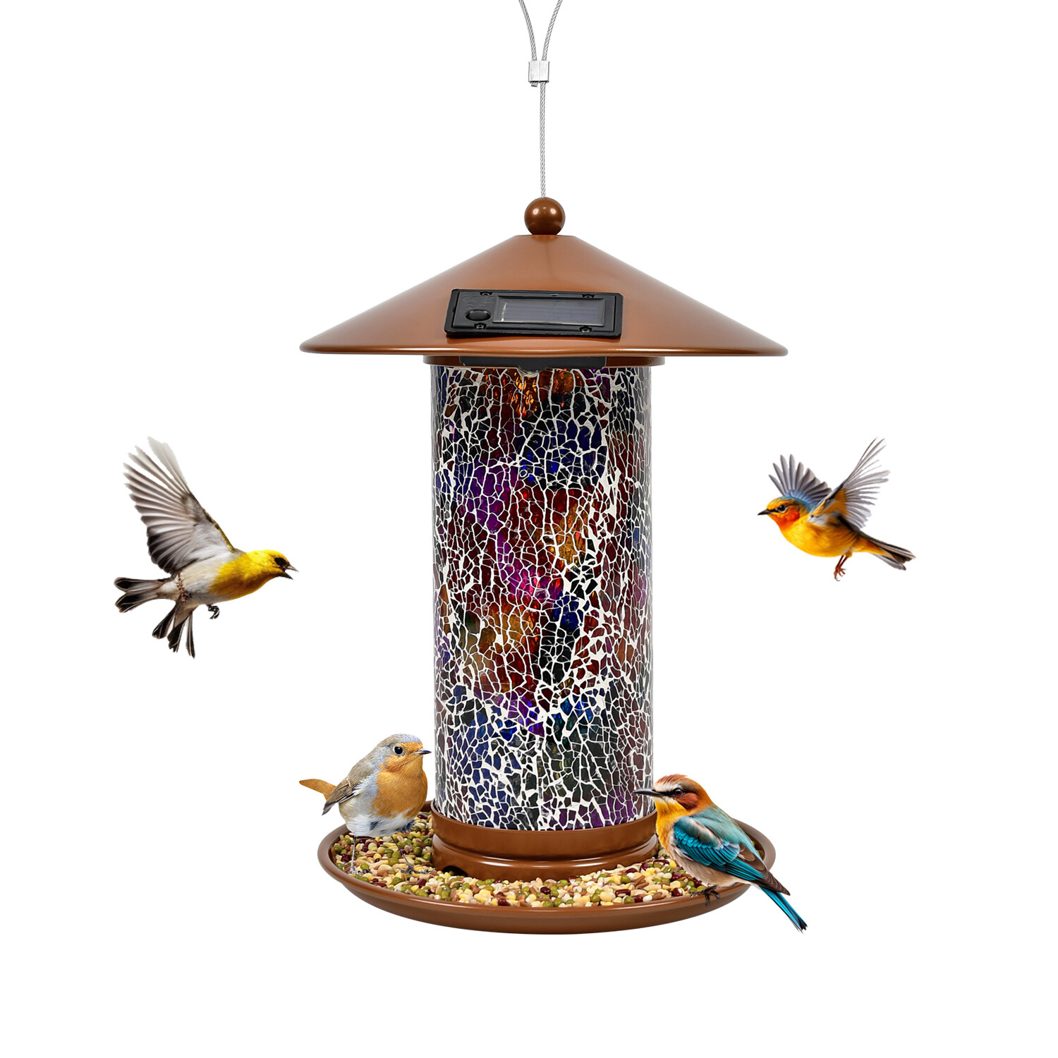 Z Shop mangeoire solaire pour oiseaux