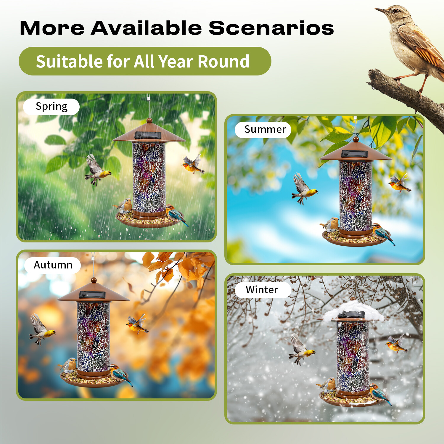 Z Shop mangeoire solaire pour oiseaux