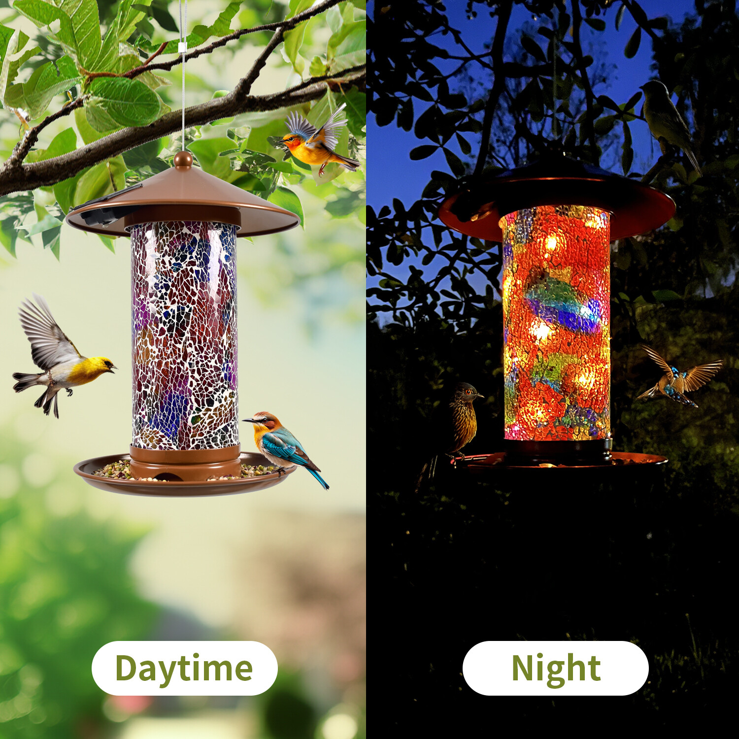 Z Shop mangeoire solaire pour oiseaux