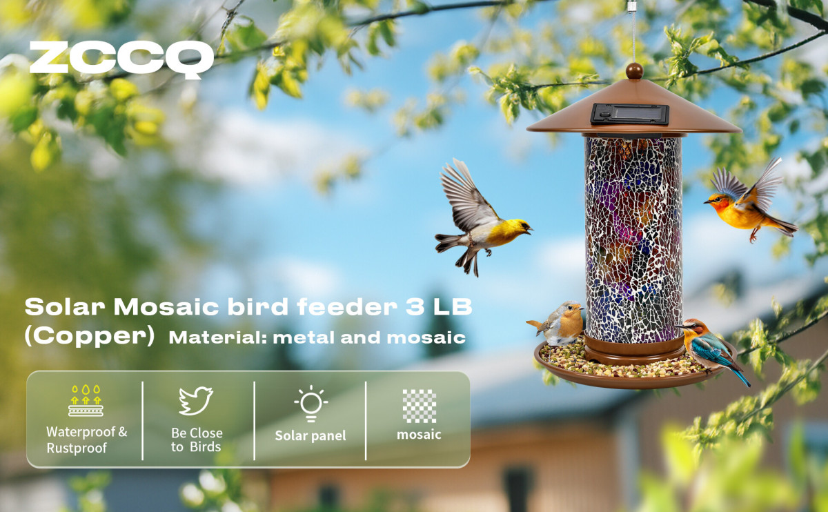 太阳能款 喂鸟器 A+1.1.jpg