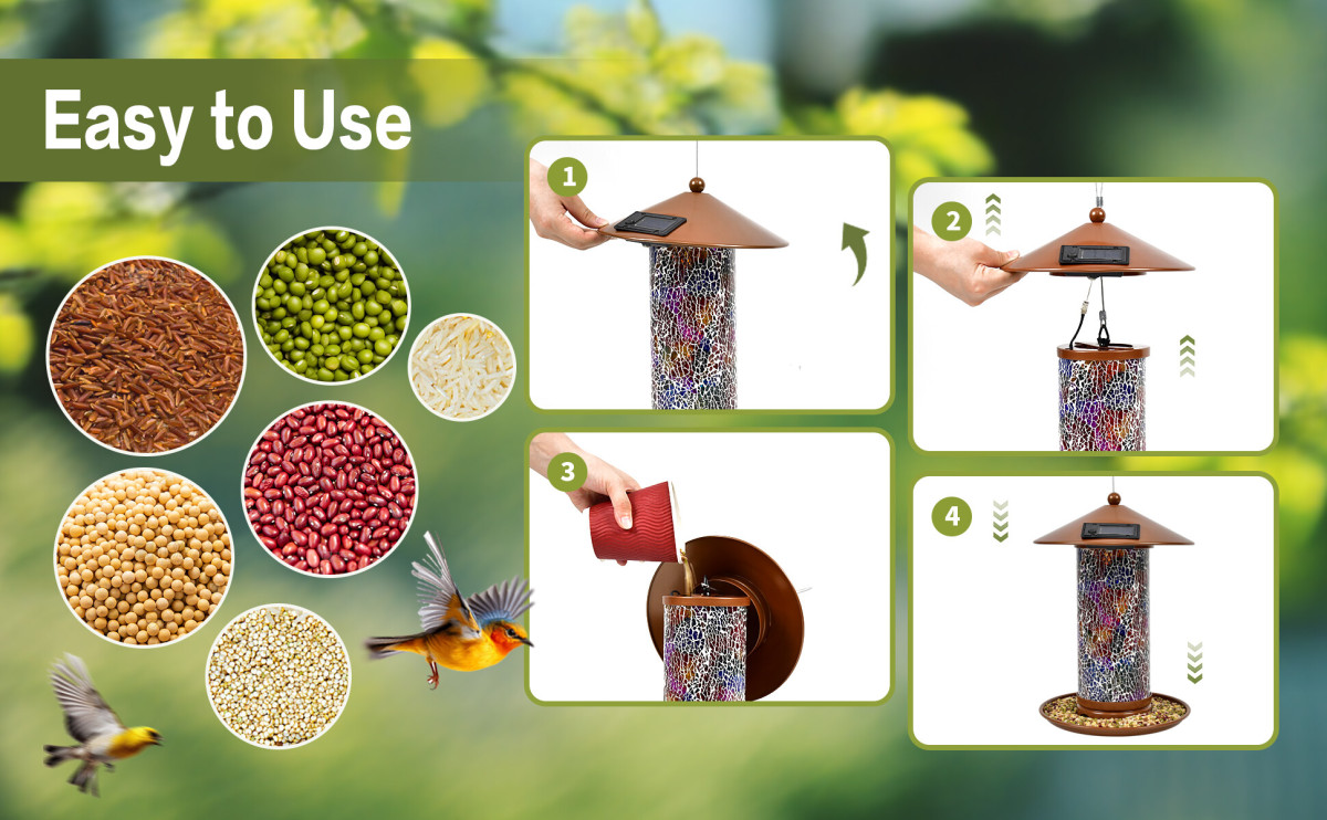 太阳能款 喂鸟器 A+1.6.jpg