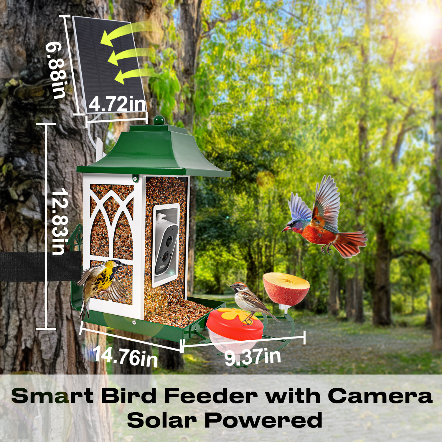 Mangeoire intelligente verte pour oiseaux