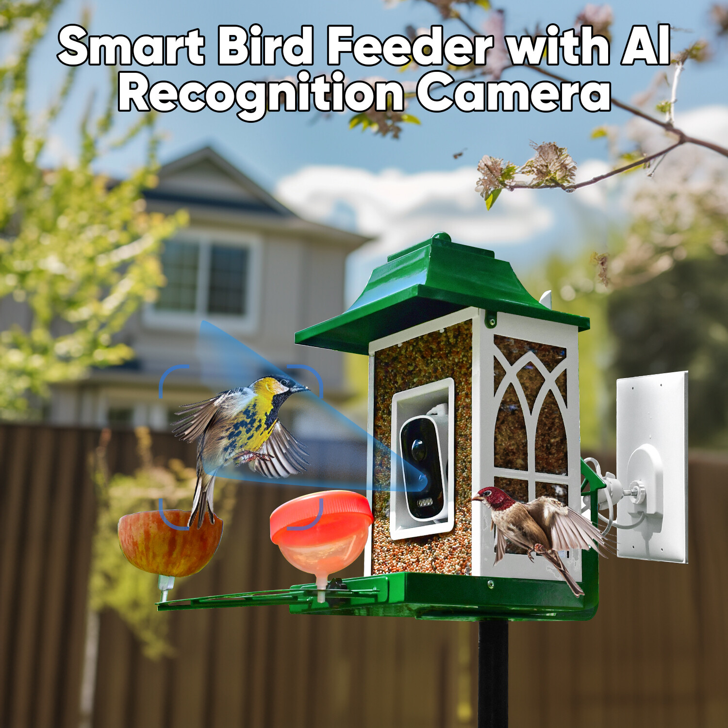 Mangeoire intelligente verte pour oiseaux