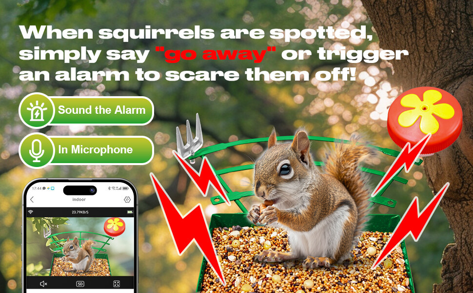 摄像头 喂鸟器a+4.jpg