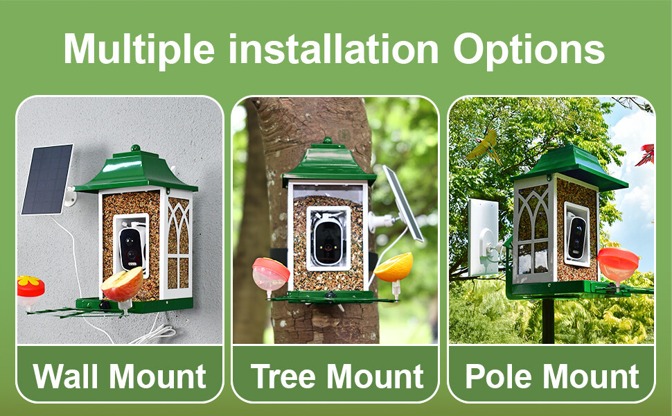 摄像头 喂鸟器a+10.jpg