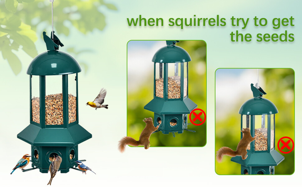 六边形绿色款喂鸟器 a+3.jpg