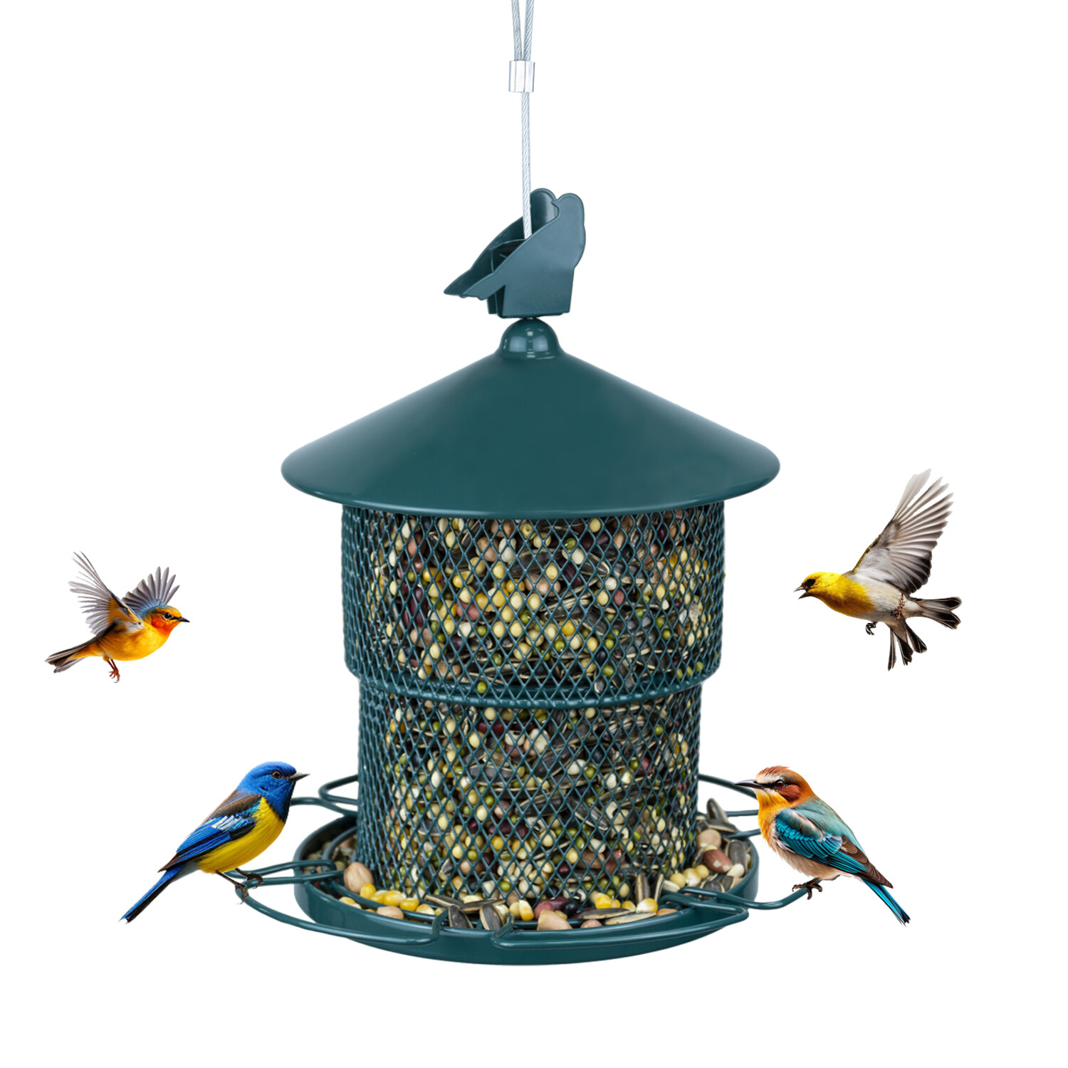 Mangeoire à oiseaux rétractable