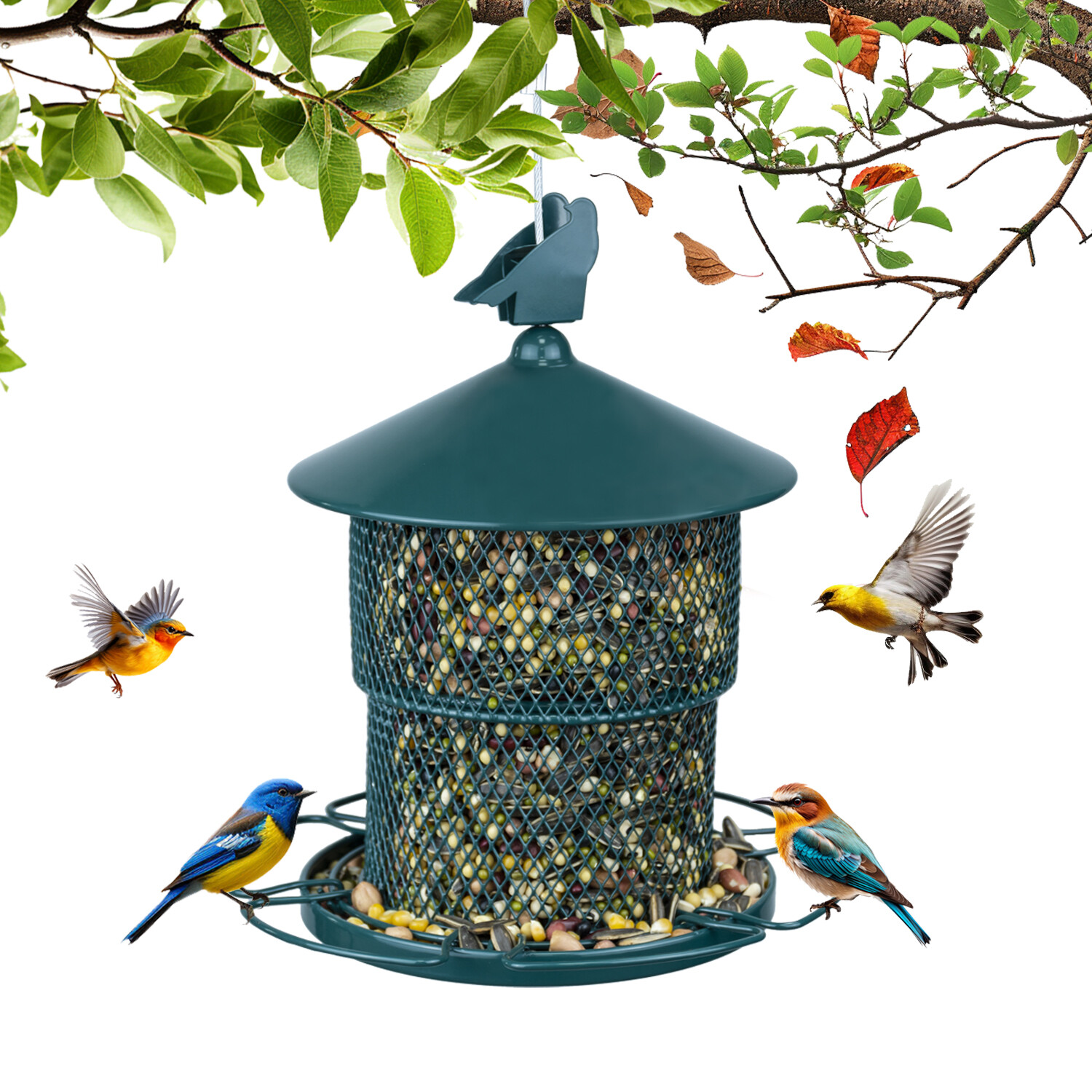 Mangeoire à oiseaux rétractable