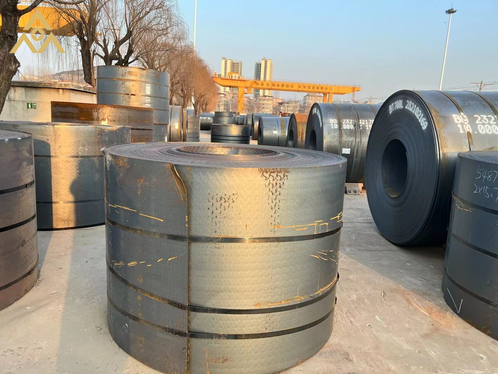 DC01 Cold Rolled Steel Coil