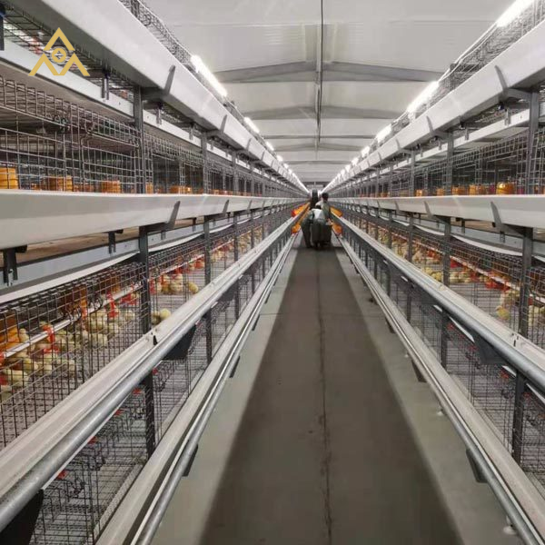  Steel Structure Breeding Plant