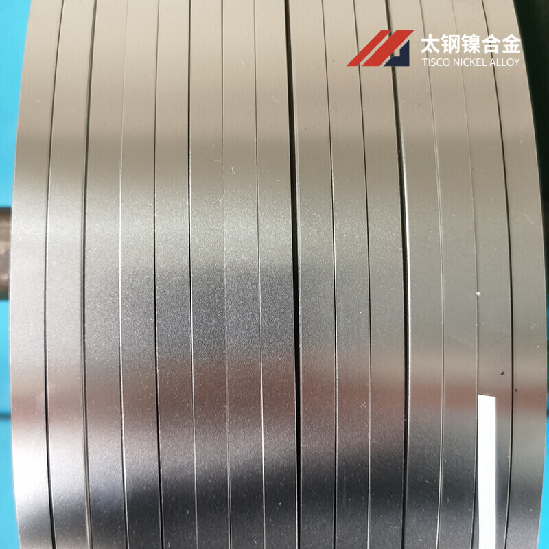 Hastelloy Alloy Strips