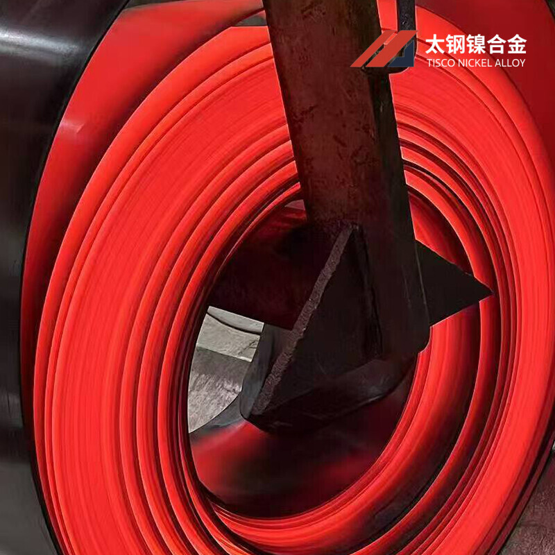 Hastelloy Alloy Strips