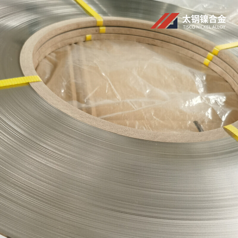 Hastelloy Alloy Strips